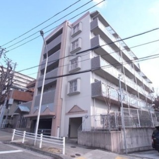 ペット可能♫敷金礼金なし♫人気2LDK♫敷地内駐車場あり♫保証人...