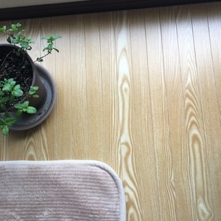 ウッドカーペット ニトリ 6帖 (引き取りのみ)の画像