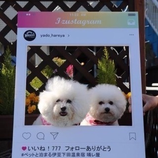 短期、夏のバイト 伊豆のペンション・海が目の前！の画像