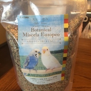 セキセイインコのエサ