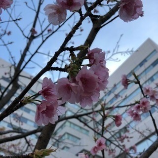 あなたのために尽くします。