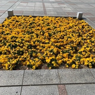 平日休みの女子会✨✨
