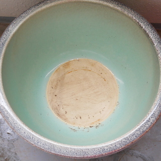 信楽焼　睡蓮鉢　金魚鉢の画像