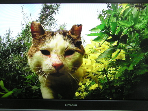 ◇取引終了 日立32型テレビ■HDD内蔵♪録画できます。☆お取引後1週間の動作補償します。