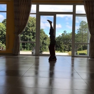 2019年4月のヨガレッスンご案内😊☘✨の画像