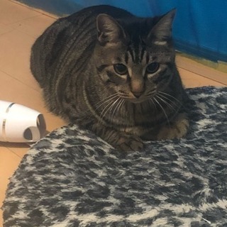 1歳のヤンチャな男の子