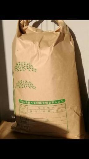 ★あと１袋★【無農薬】新米　白米　１０㎏　ひのひかり　愛媛県産