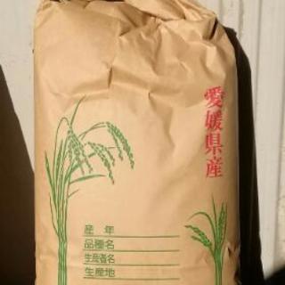 ★残りわずか★【無農薬】新米　白米　５㎏　ひのひかり　愛媛県産