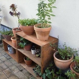 大きめ木箱 プランターや花壇におススメ◎