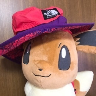 THE NORTH FACE帽子その他2点
