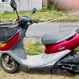 AF34 Dio チェスタ