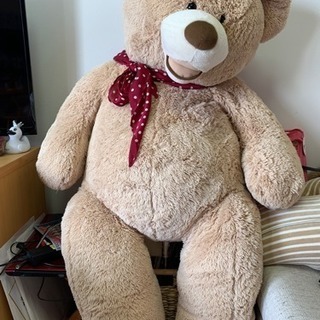 コストコ 135cm くま テディベア