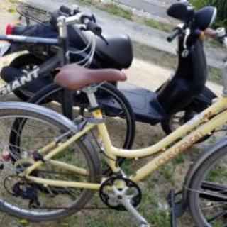 ルイガノ　自転車