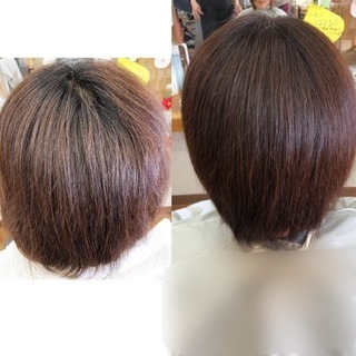 ヘアーリセッター - 旭川市