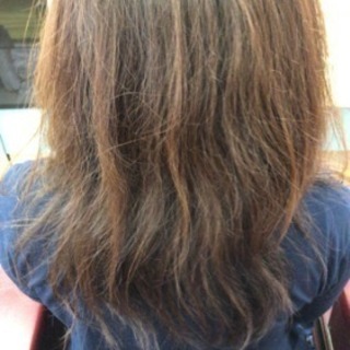ヘアーリセッター - 美容