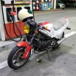 NS250F 