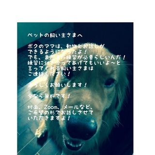 ペットの飼い主さまへ