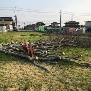 潮来キャンピングサイトで楽しむ薪の会♪ − 茨城県