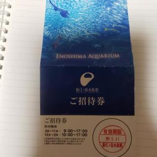 江ノ島水族館招待券