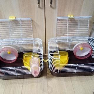 オマケ付け過ぎ はむすた〜（小動物）用ケージ
