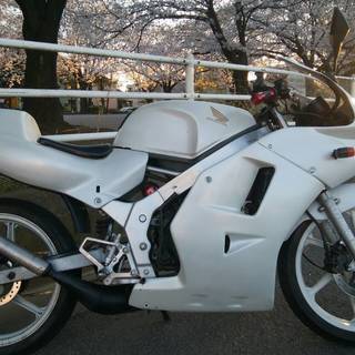 ホンダ　NS-1 CBR風カウル　エヌワンの画像