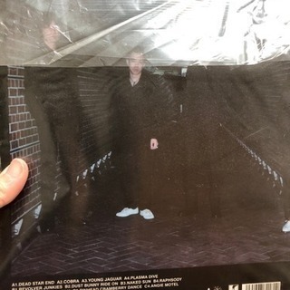 あげます！ミッシェルガンエレファント レコード&写真集他の画像