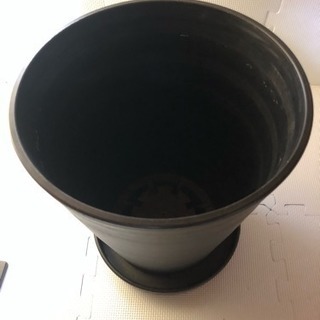 植木鉢 高さ320 中古品プラスチックの画像