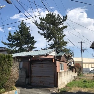 植木伐採、建物解体 庭石片付け 手伝い 日払い