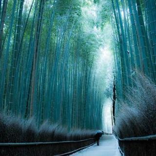 💖女性メンバー活躍のLINE雑談➕通話グル🎡