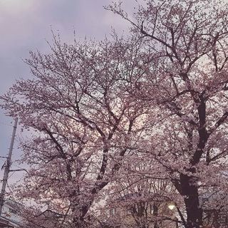 ゆるーくママ友