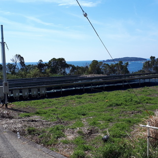 「急募集」すさみ町（平日）に防草シートにガムテープを張る仕事をして下さい（太陽光パネル周辺）の画像