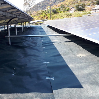 「急募集」すさみ町（平日）に防草シートにガムテープを張る仕事をして下さい（太陽光パネル周辺）の画像