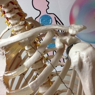 荒井BODYメンテナンスstudy〜運動処方・整体・エネルギー調整