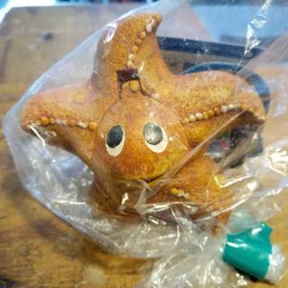 【新品】【レア物】パクパクデコ ヒトデ 【廃盤品】