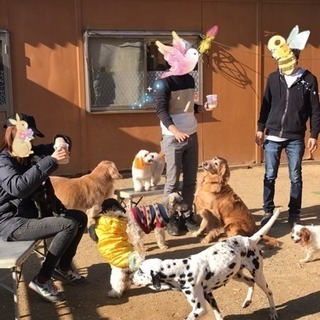 犬猫のお世話及びふれあい接客スタッフ募集