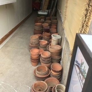鉢植え  １つ〜たくさん  無料