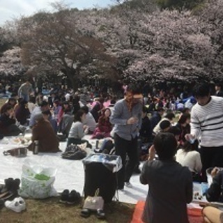 名城公園でお花見ワイン会
