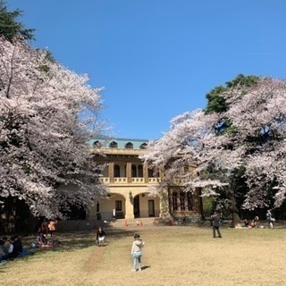 4/7お花見しよー！