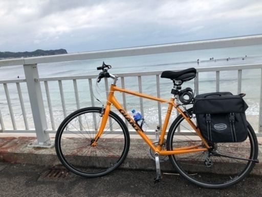 GIANT ESCAPE R3 19 マンゴー