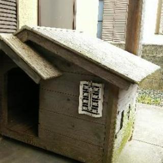 犬小屋