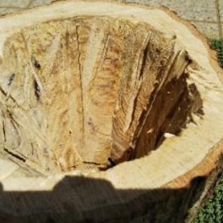 癒やしの切り株。ログプランター！（丸太の植木鉢）。茨城県潮来市。の画像