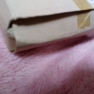 ボディ用　ネコスポンジの画像