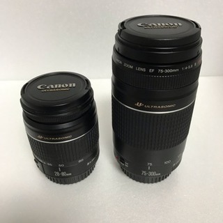 CFカード付き❤️ Canon EOS 5D MarkII ダブルレンズセット の画像