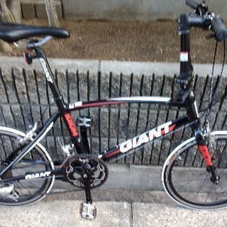 🚴GIANT IDIOM