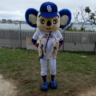 中日ドラゴンズ