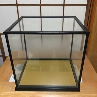 人形ガラスケース