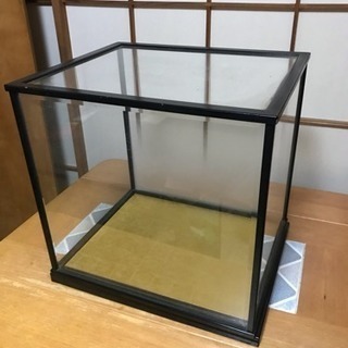 人形ガラスケースの画像