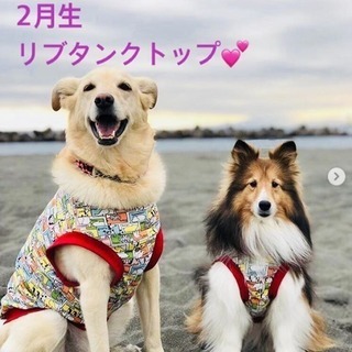 わんこ服手作り教室 Hapimo Shares®（ハピモシャレス）世田谷レディース教室の画像