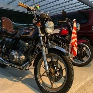 gsx250e ザリの画像