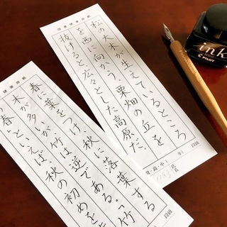 【西宮若竹公民館 書道教室】初心者大歓迎！ 〜中・高校生から一般の方まで〜の画像